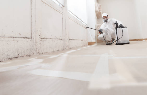 Post-remediation clearance in Hurst